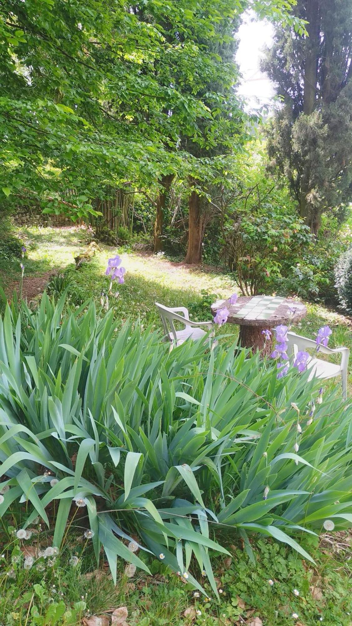 Appartement Duplex 2 Personnes, à Aix-les-Bains Extérieur photo